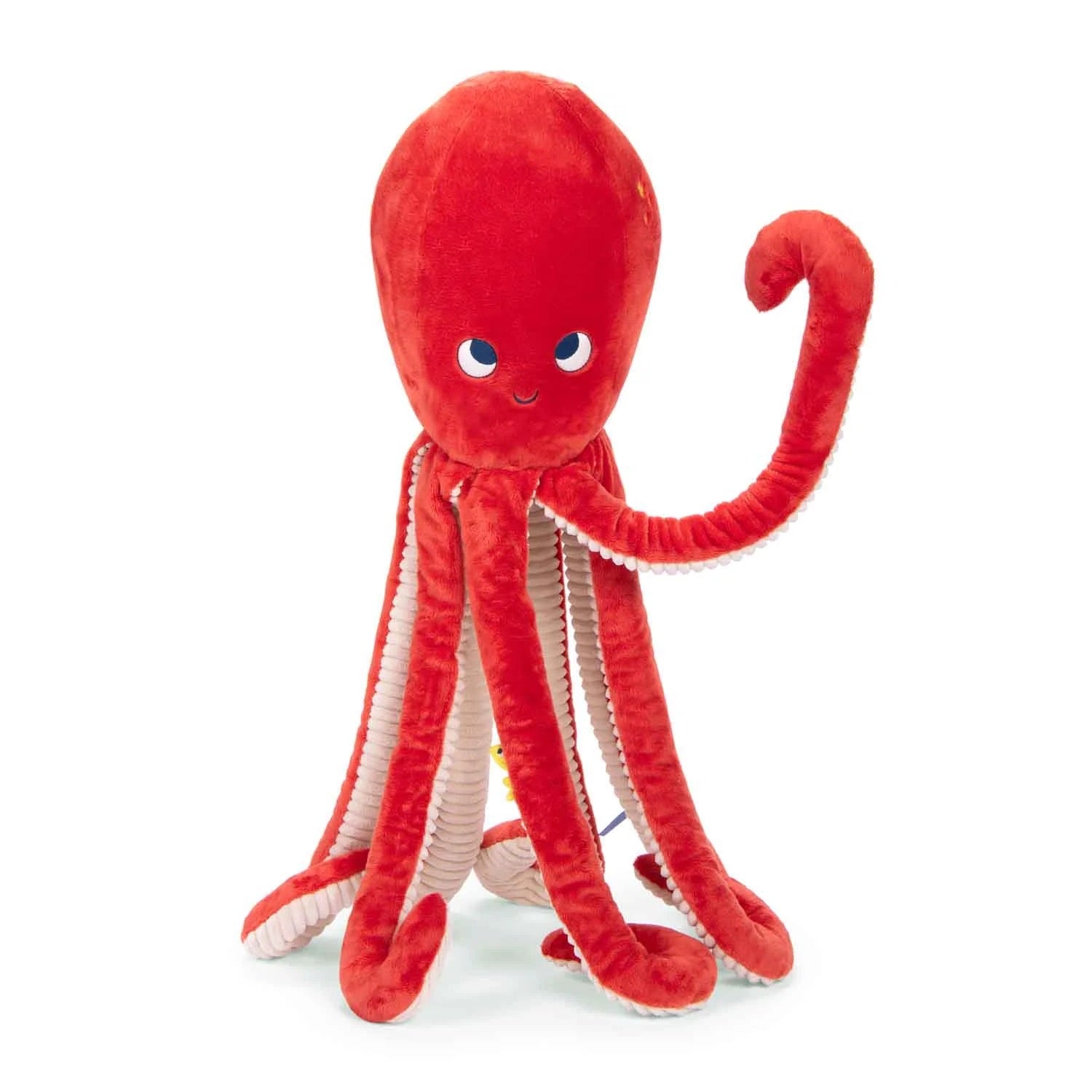 Paulie Giant Octopus