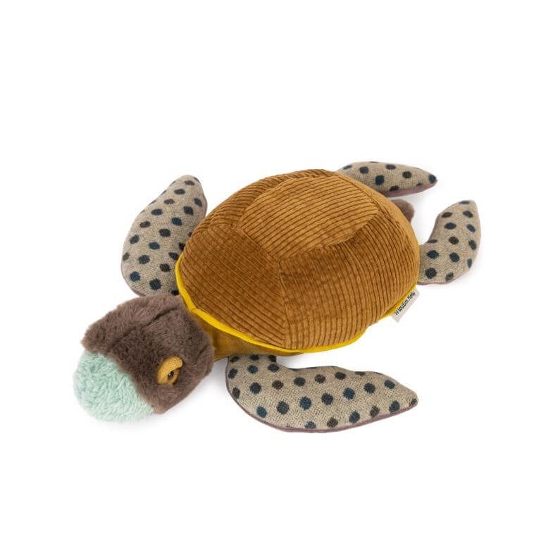 Small Turtle