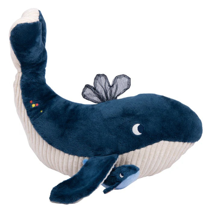 Large Activity Whale