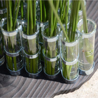 April Vase Classic